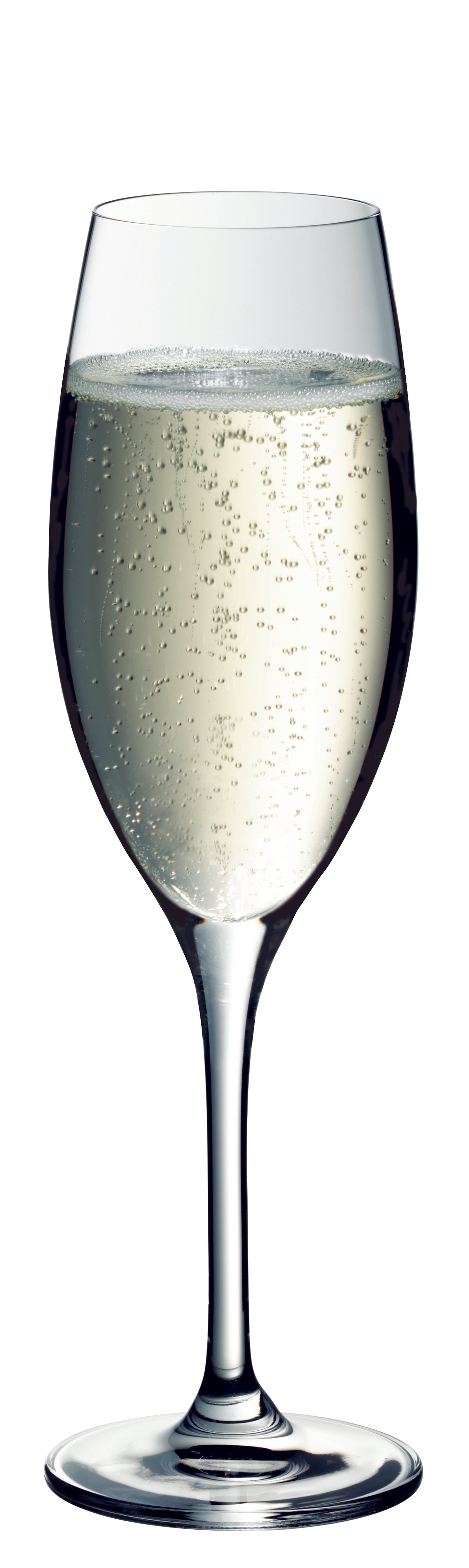 Sektglas mit Blubber, B2B Gastronomie