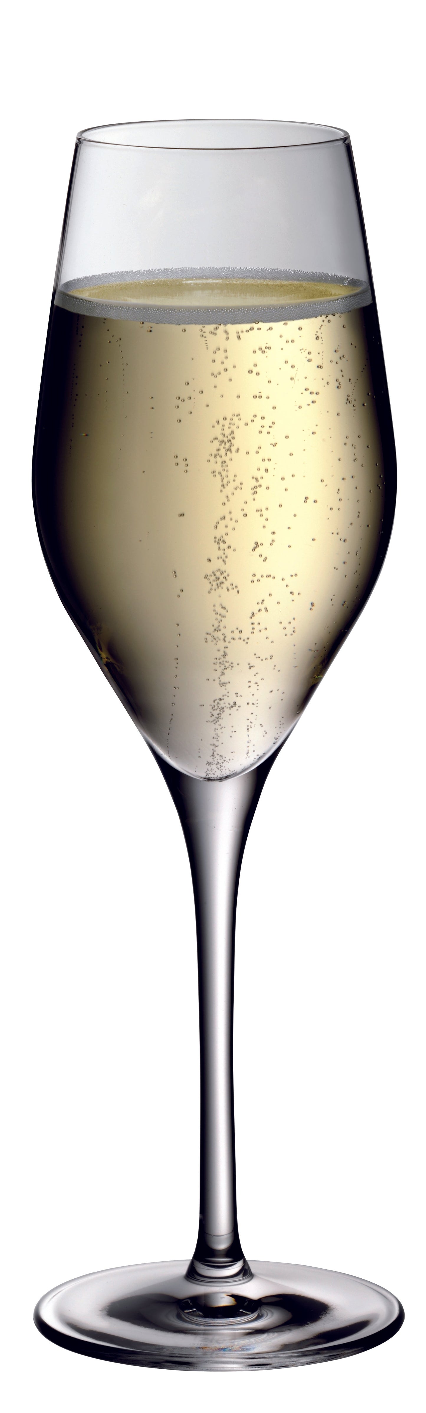 Sektglas mit Champagner, B2B-Gastronomie
