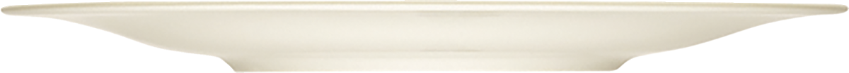 Flacher, weißer Teller von Seite.