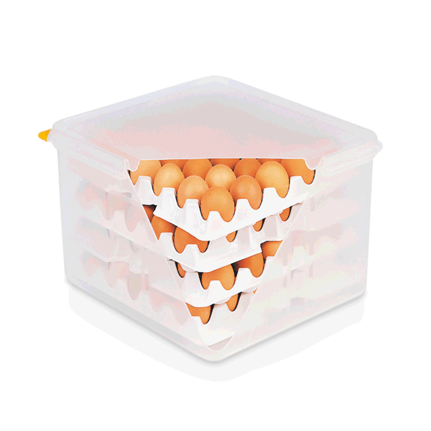 Eier in transparentem Lagerbehälter.