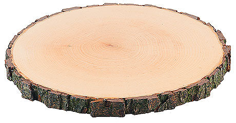Holzscheibe mit Rindenrand.
