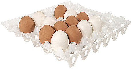 Eier in Plastik-Eierkarton.
