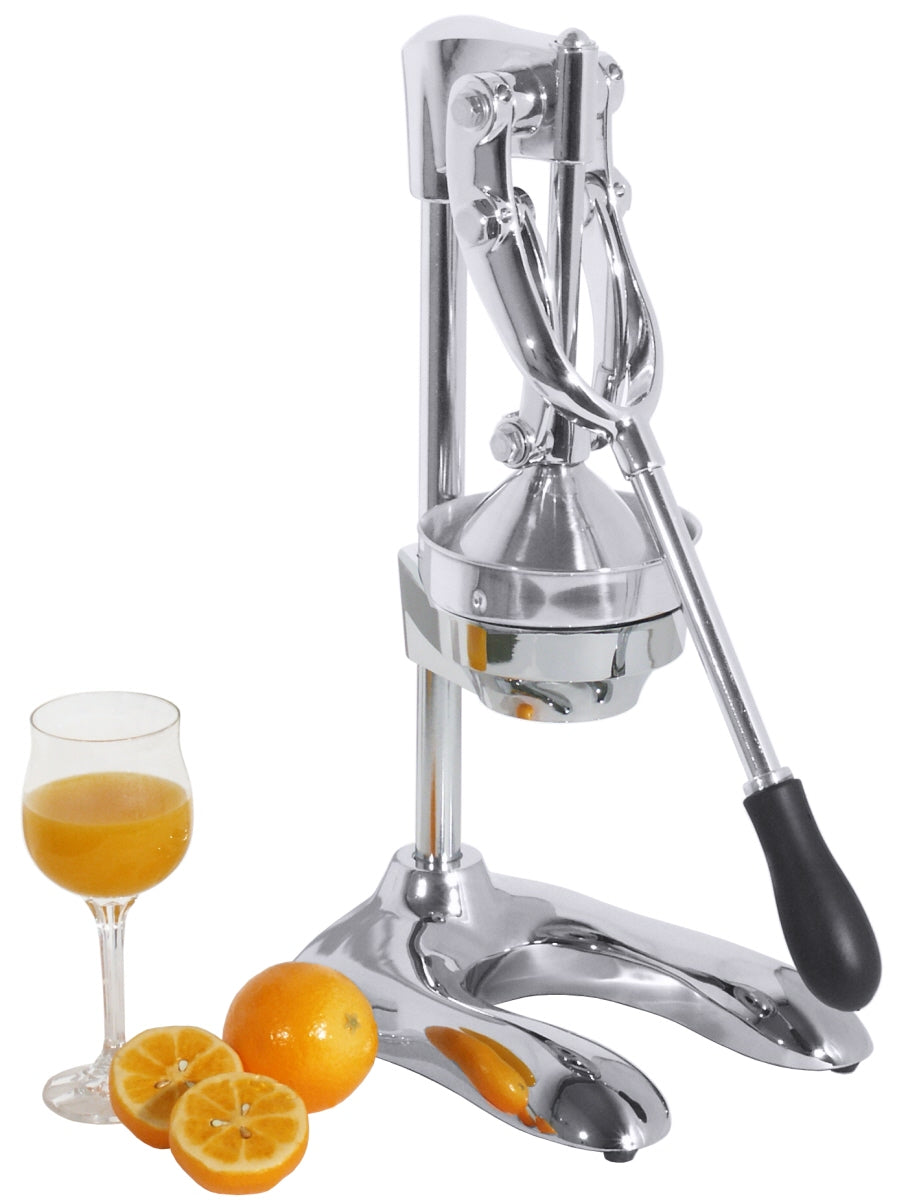 Saftpresse mit Orangen und Saft.