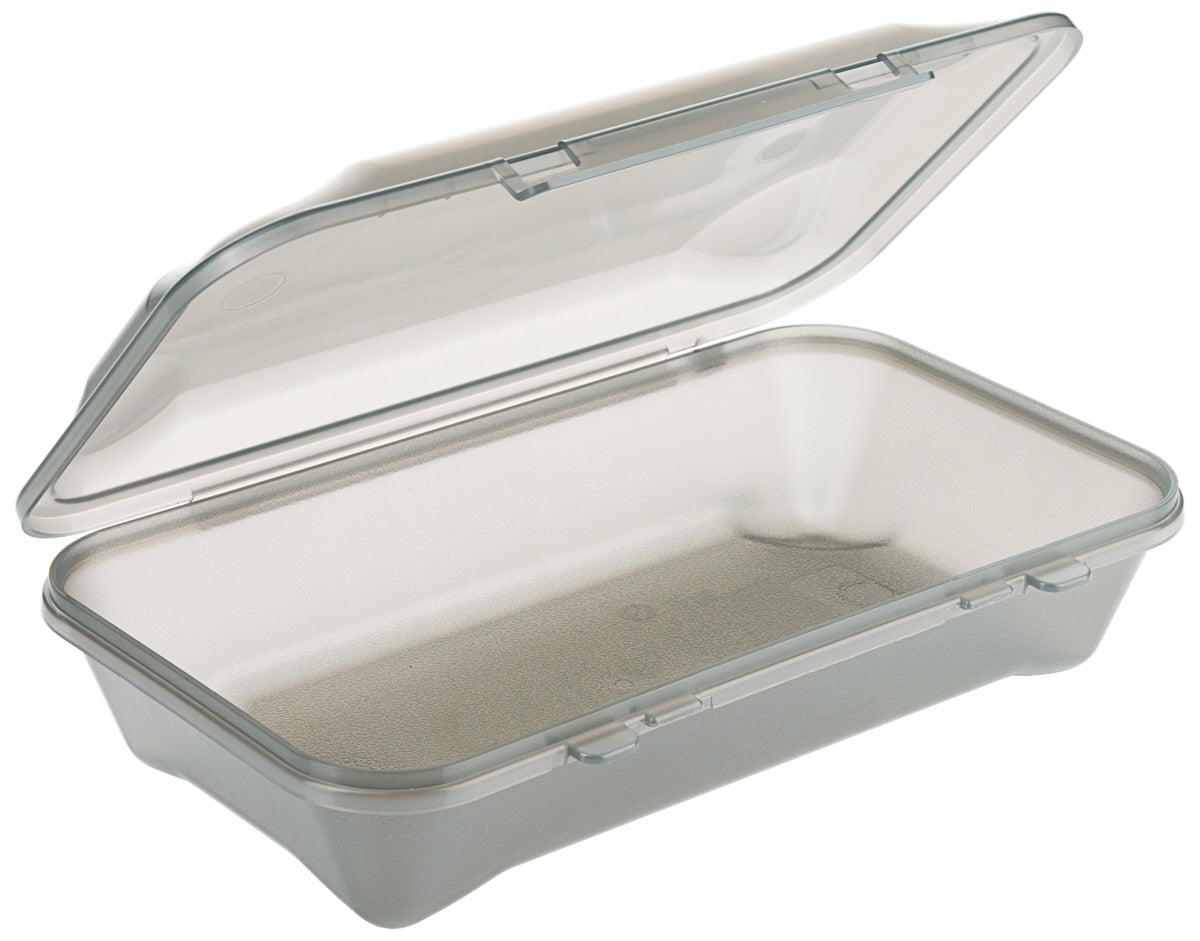 Transparente Speisebox mit Deckel