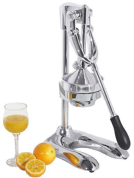 Saftpresse mit Orangen und Saft.