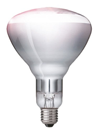 Energiesparende Lampe für Gastronomie.