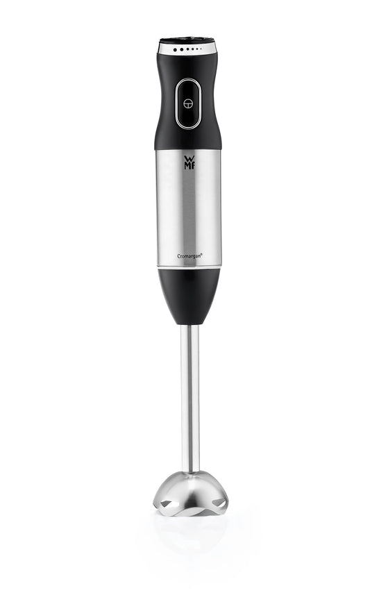 Handmixer für Gastronomie