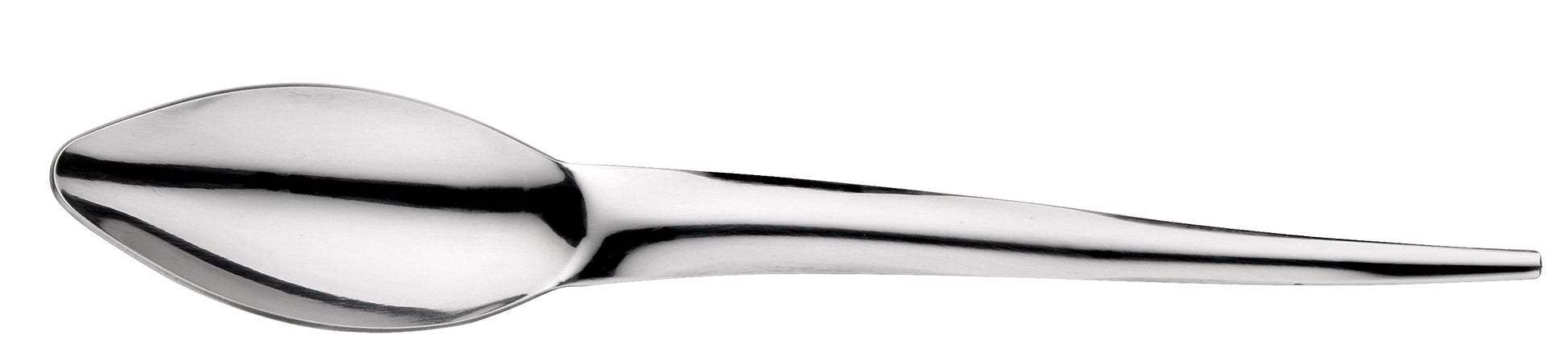 TABLE SPOON SNAKE