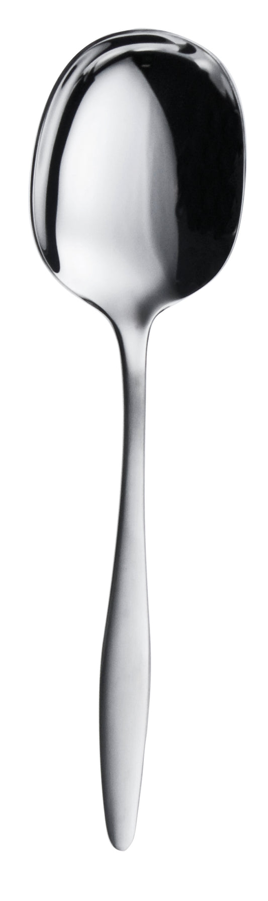 Silberlöffel, Nahaufnahme, glänzend, elegant