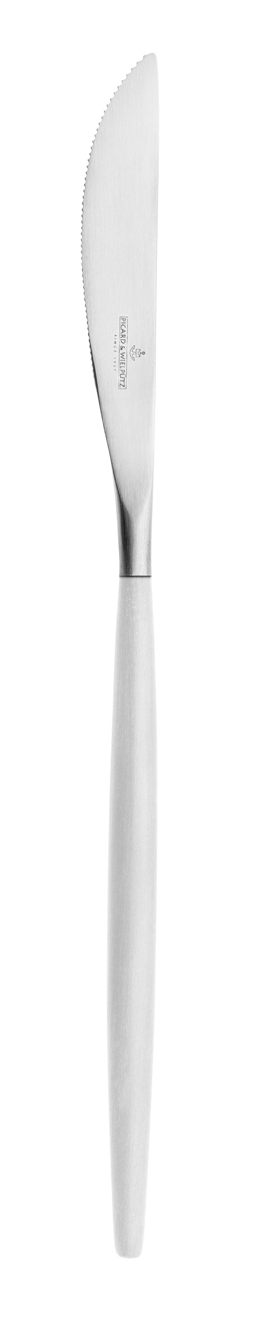 Küchenmesser für Gastronomie-Bereich