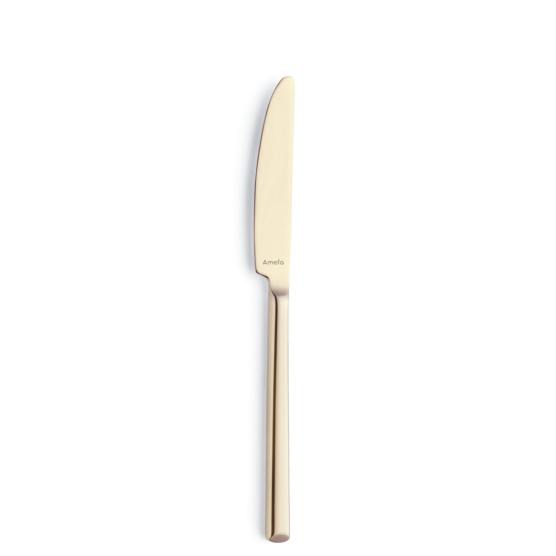 Eleganter Messer für Gastronomie