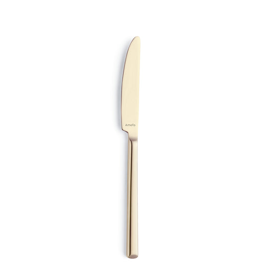 Eleganter Messer für Gastronomie