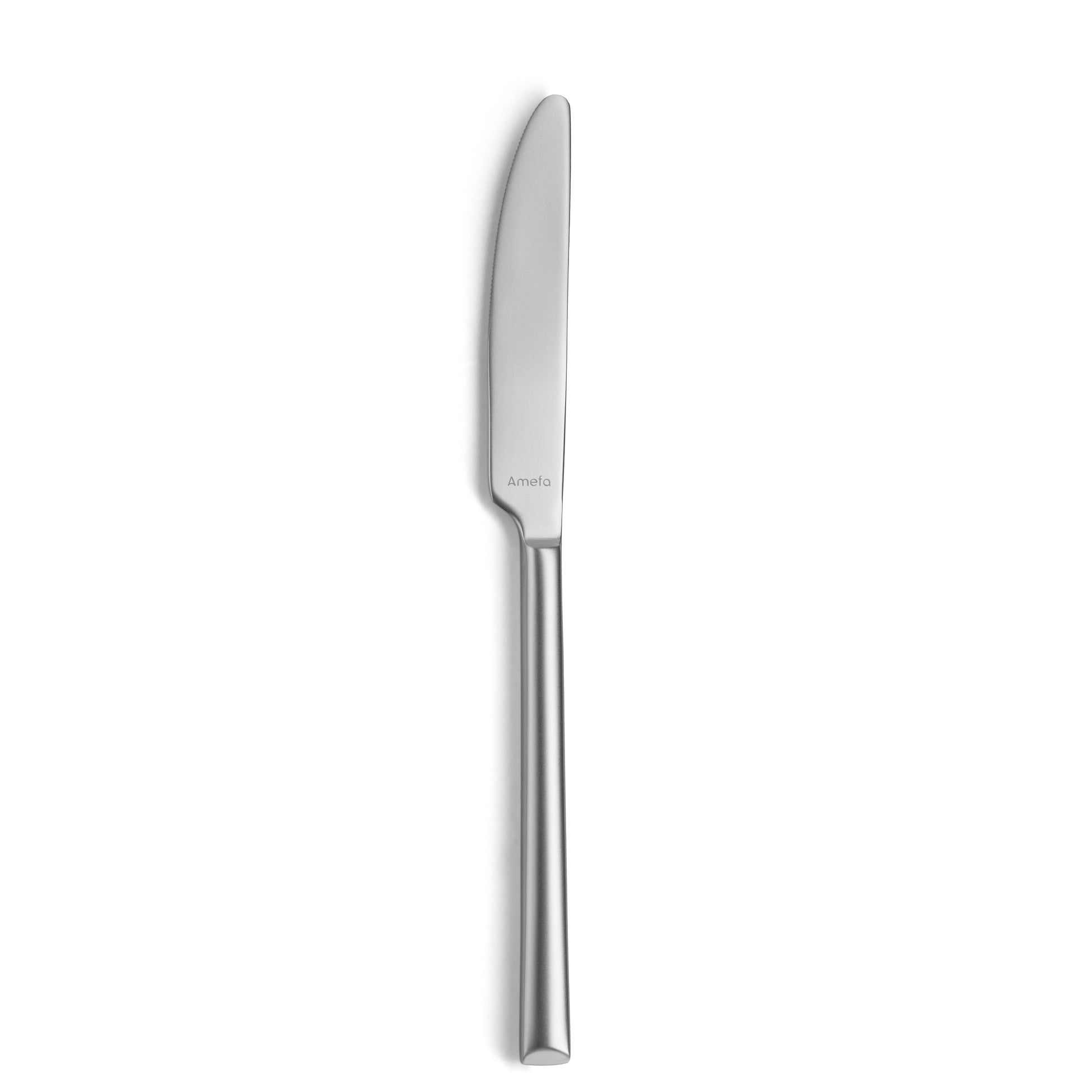 Messer für Gastronomie, Edelstahl, professionell