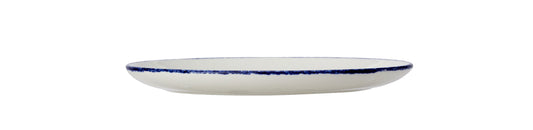 Weißer Teller mit blauem Rand.