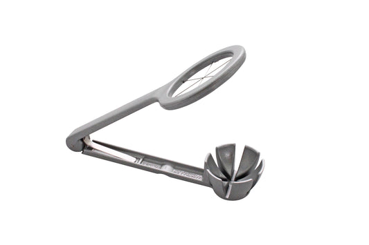 Zitronenpresse für Gastronomiebedarf.