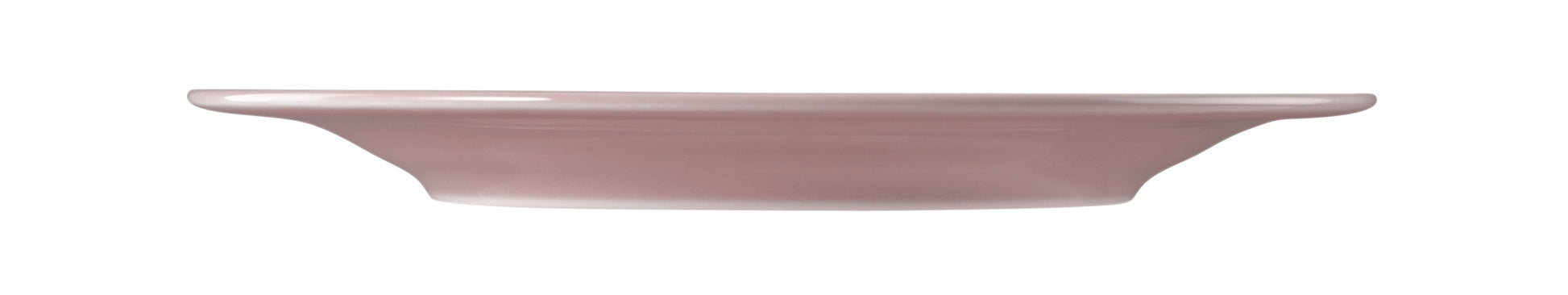 Leere rosa Teller für Gastronomie