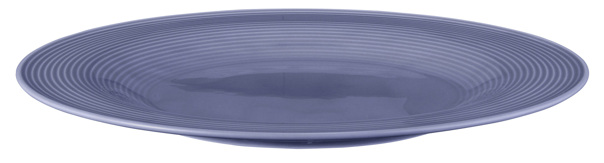 Blaue Teller für Gastronomie
