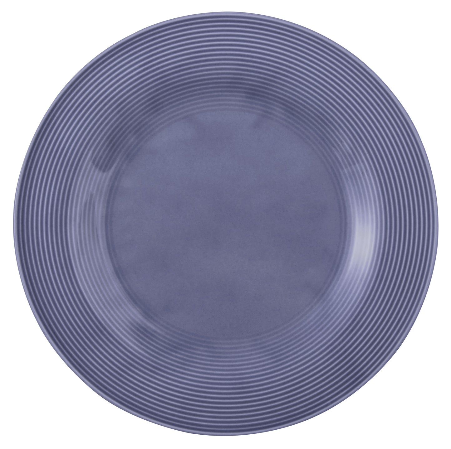 Blaue Teller für Gastronomie