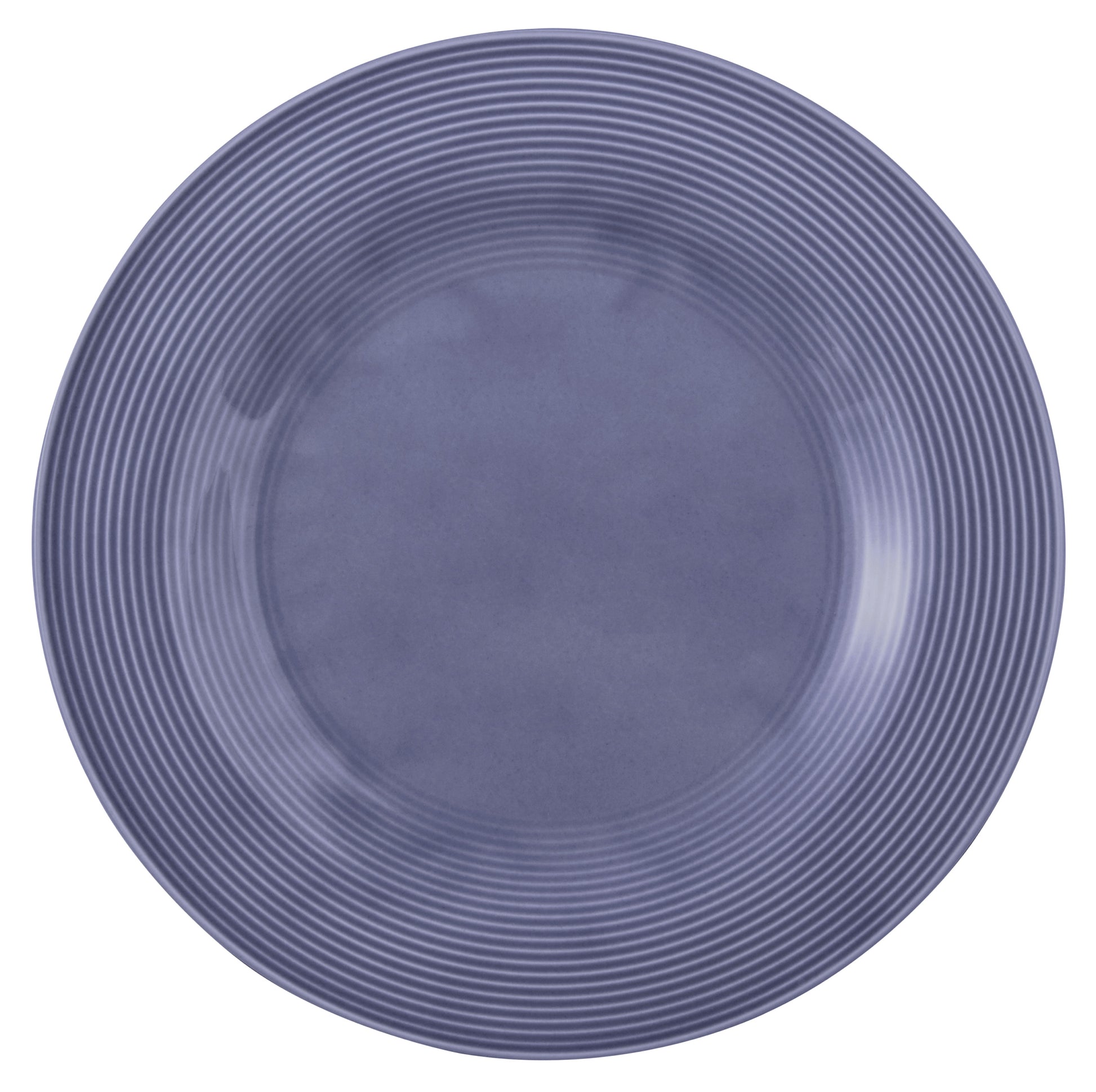 Blaue Teller für Gastronomie