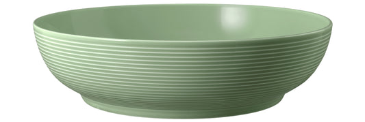 Grüne Schüssel für Gastronomie