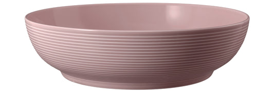 Bunte Schüssel für Gastronomiezwecke