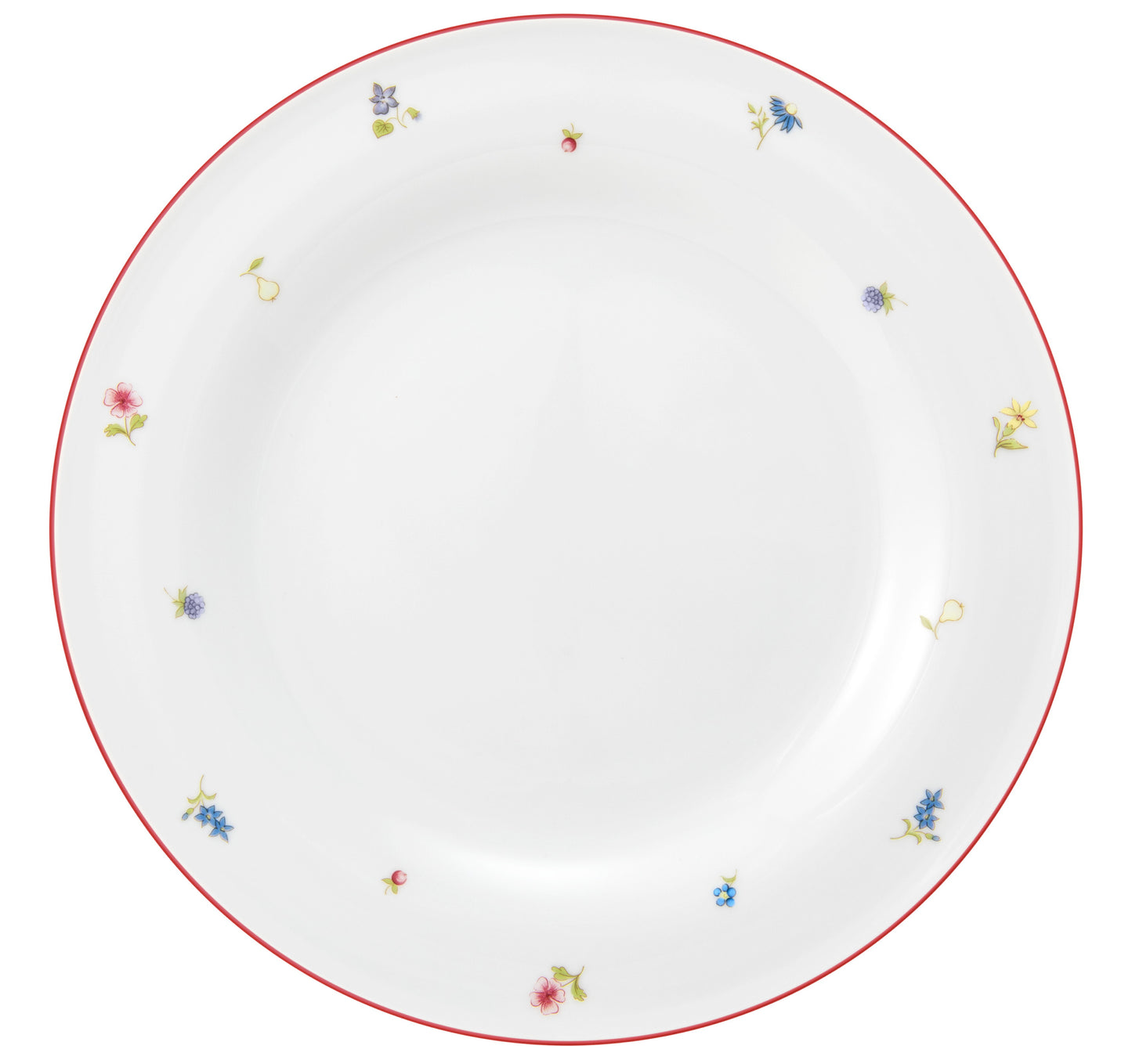 Leere bunte Porzellanplatte, B2B Gastronomie