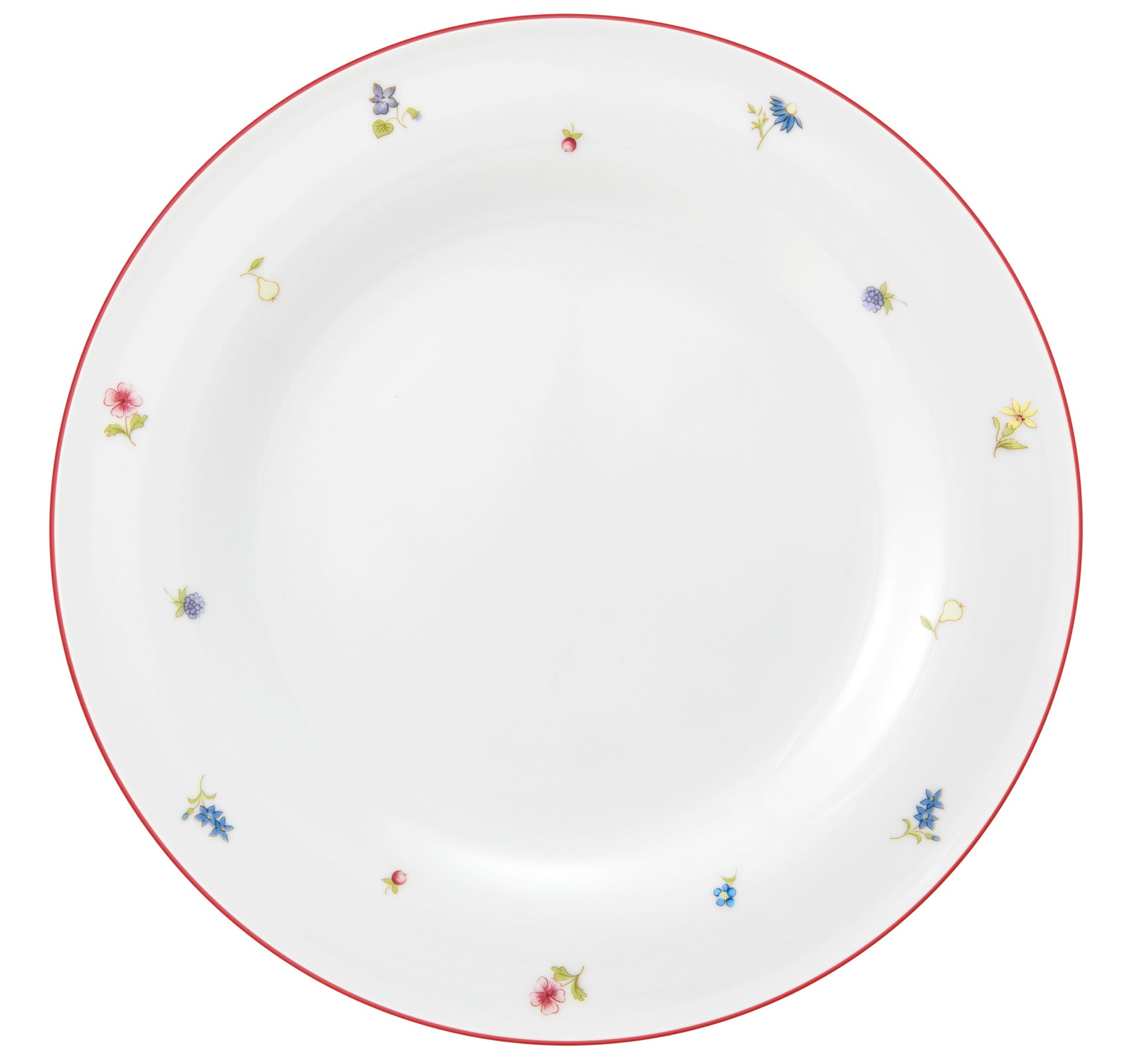 Leere bunte Porzellanplatte, B2B Gastronomie