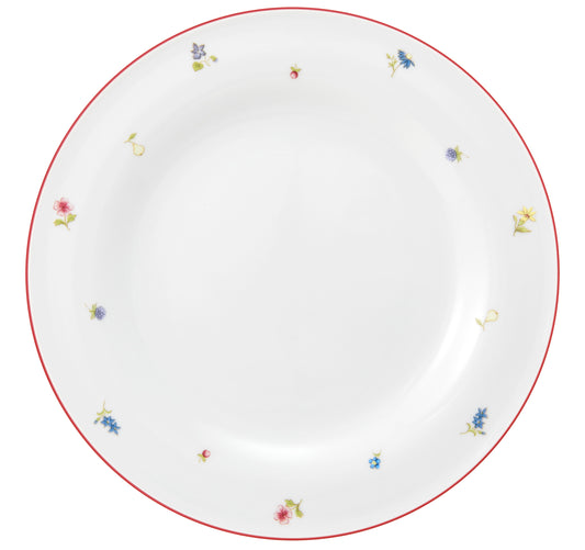 Leere bunte Porzellanplatte, B2B Gastronomie