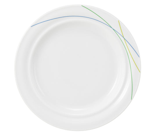 Weißer Teller mit farbigen Linien