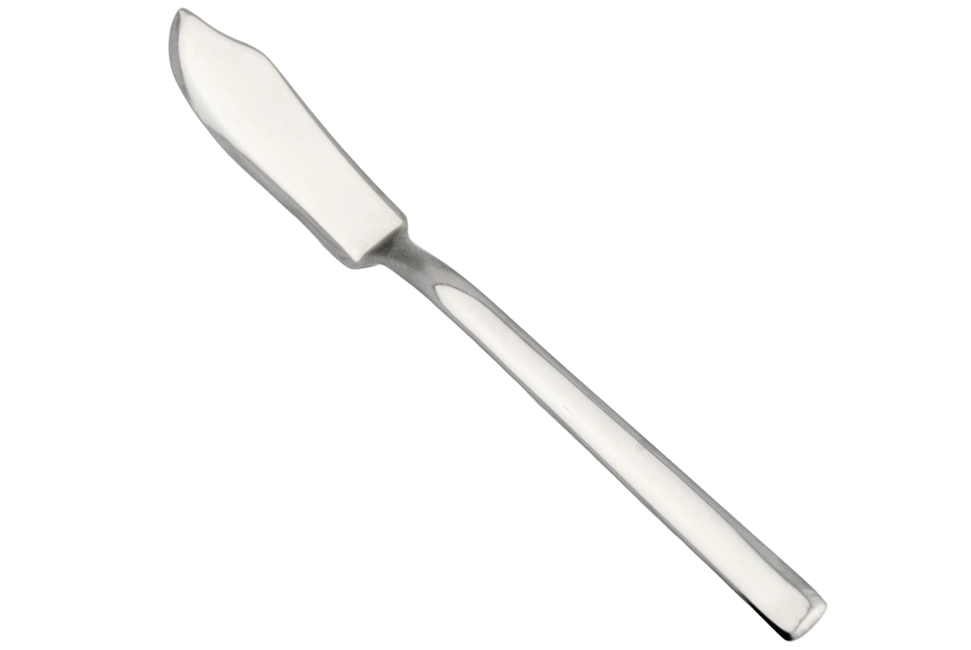 Fischbesteck aus Edelstahl