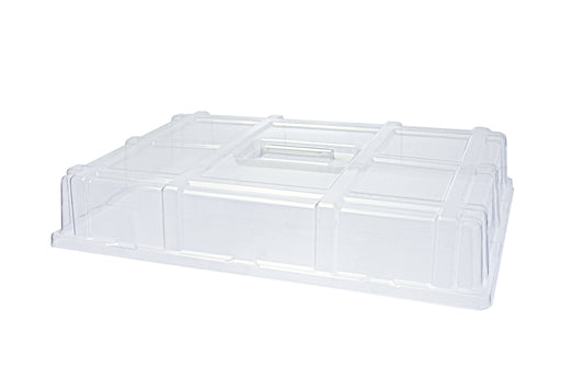 Transparente Gastronomie-Transportbox.