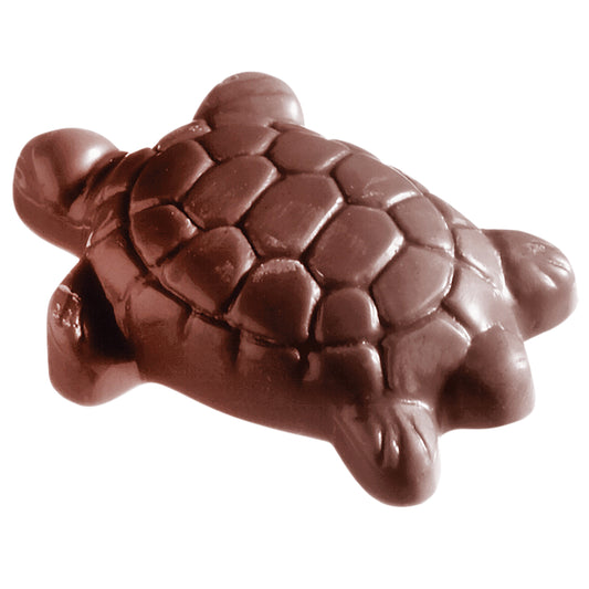 Schokoladenschildkröte für Gastronomie.