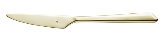 Goldener Küchenmesser für Gastronomie