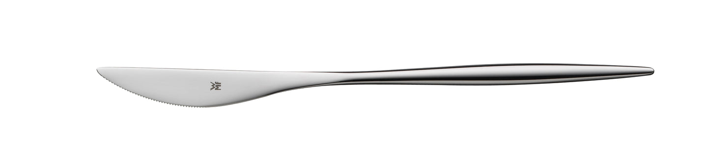 Gastronomie Messer, Edelstahl, professionell