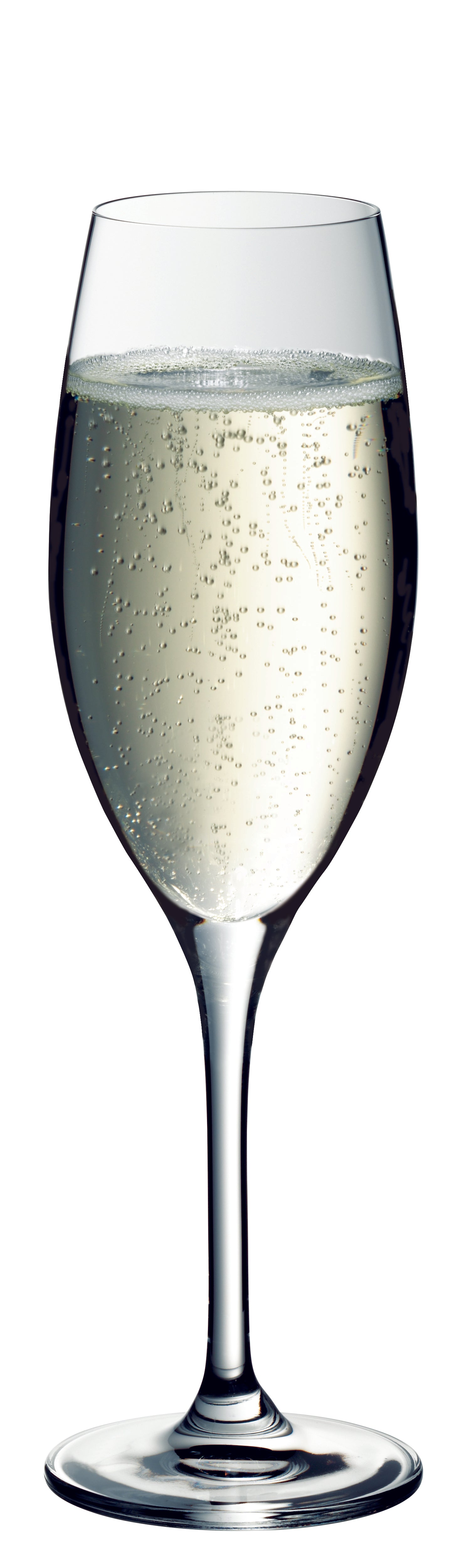 Sektglas mit Blubber, B2B Gastronomie