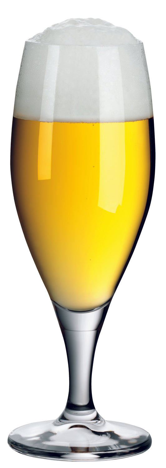 Bier im Glas mit Schaum.