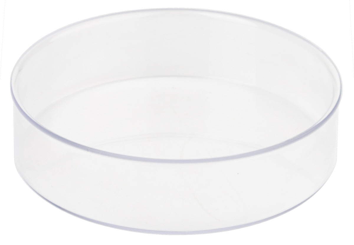 Transparente Schale für Gastronomiezwecke