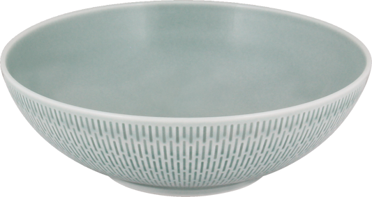 Bowl für Gastronomie, B2B, Geschirr