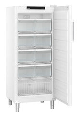 FFFsg 5501 GASTRONOMIE GEFRIER-LAGERSCHRANK STATISCHE KUEHLUNG