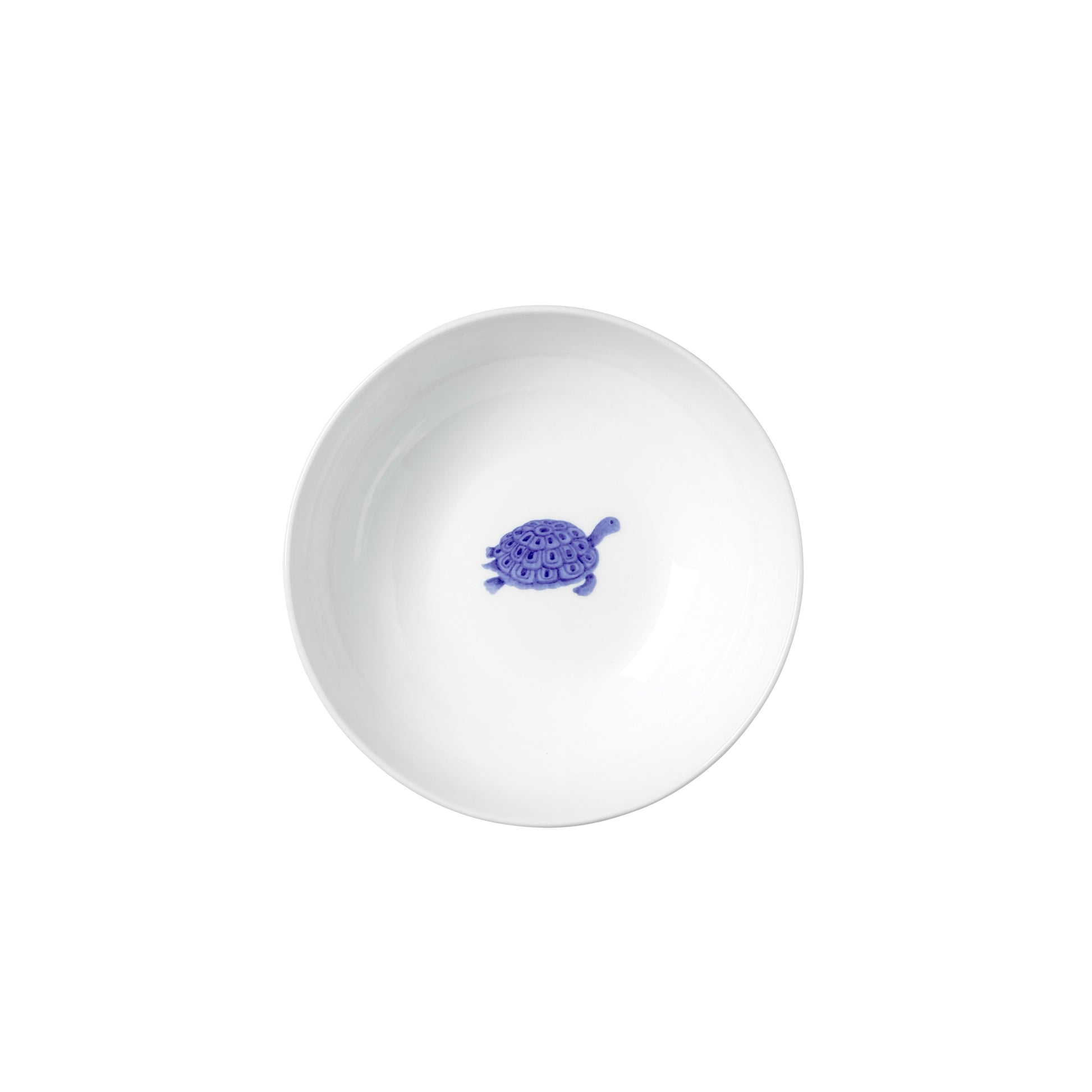Leerer Teller mit Schildkrötenmotiv.