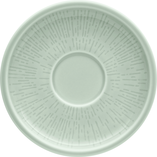 Leeres, grünes Pappteller-Design