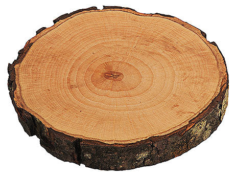 Baumscheibe als Servierplatte.