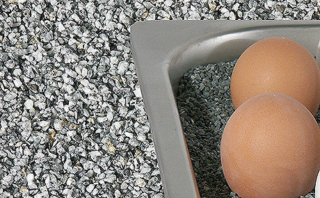 Eier in Edelstahlbehälter auf Granulat.