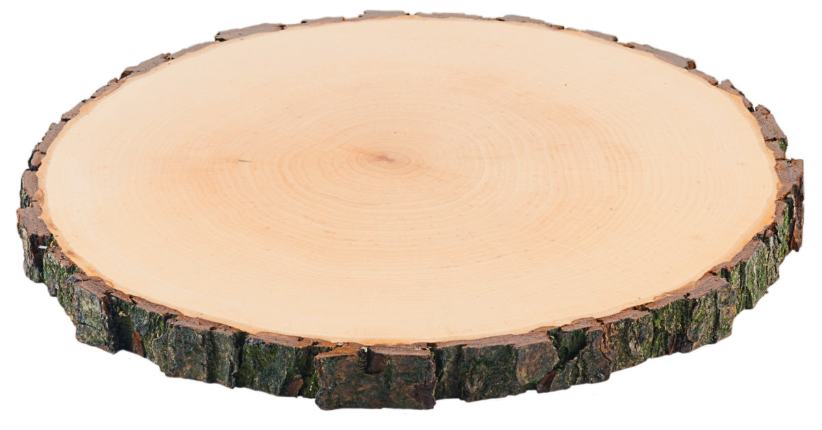 Holzscheibe mit Rindenrand.