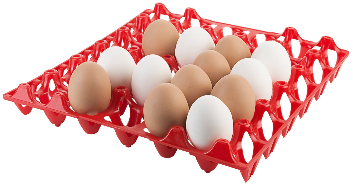 Eier in rotem Eierkarton.